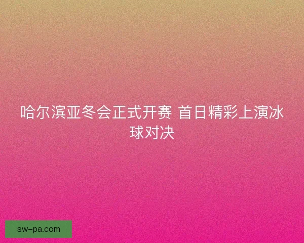 哈尔滨亚冬会正式开赛 首日精彩上演冰球对决